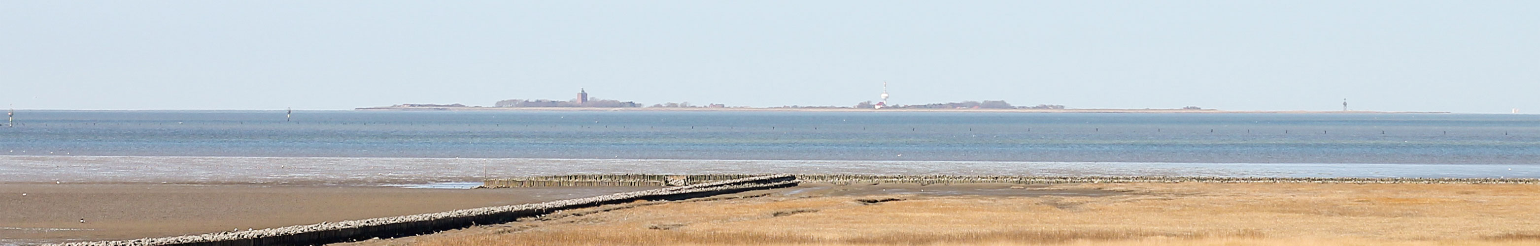 Wattwanderung in Cuxhaven