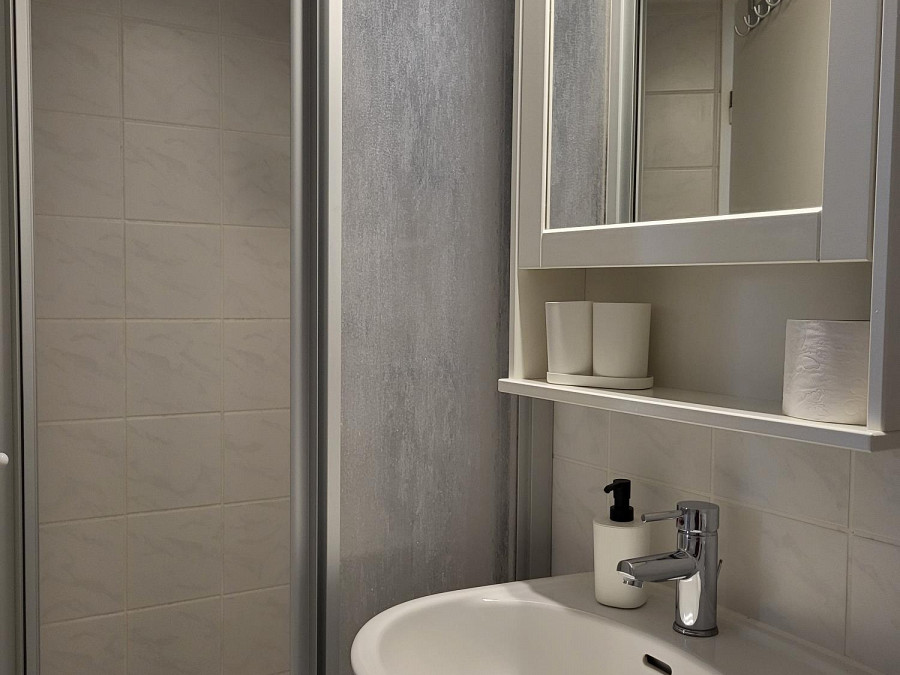 Seeland Wohnung Nr.  3 (45 A)