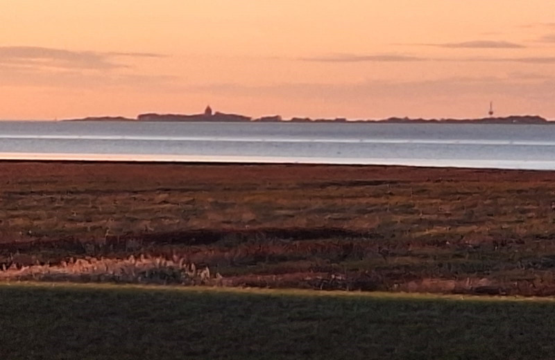 Residenz Dünenweg Wohnung 7