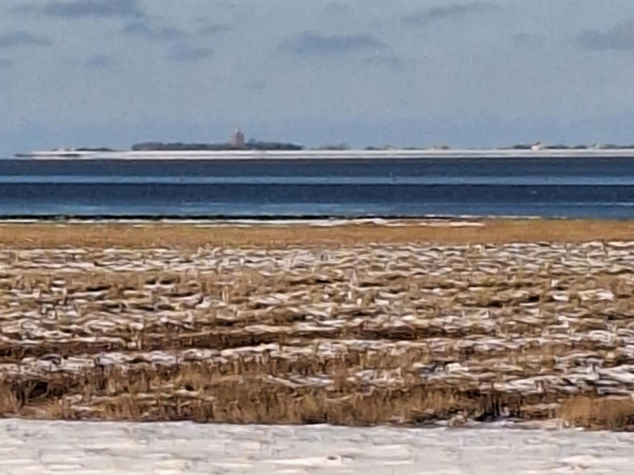 Residenz Dünenweg Wohnung 7